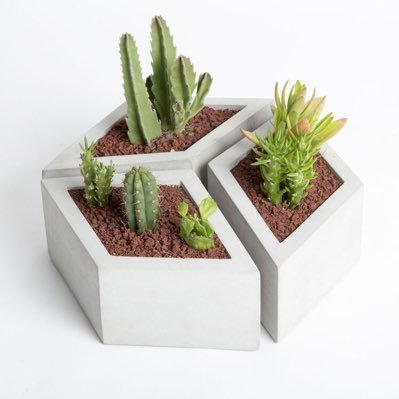 “🍥Design is a project📽” ________Kampala outdoor/indoor luxury plant pots🪴and gardening containers for sale||For commercial and residential concrete planters.