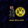 AlexWilliamsBVB's profile picture. Alex 25 Ans fan de catch et de Borussia Dortmund