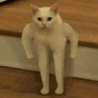 ELO IS BACK 🌺 (@simp4simon) 's Twitter Profile Photo ELO IS BACK 🌺 (@simp4simon) 's Twitter Profile Photo