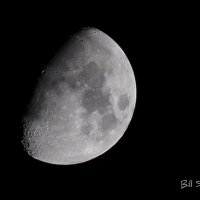 Bill 🟧 🌴 (@slick1ru2) 's Twitter Profile