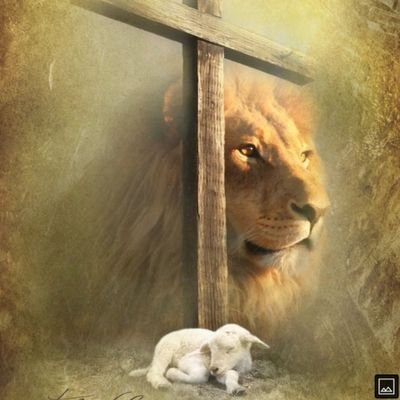 Jesus Christ is my Savior & Redeemer! Psalm121; 2 Cor.1:3-4
#StormingHeavensGates
#ThroughTheBible
 #🇮🇱🇮🇱I Stand With Israel🇮🇱🇮🇱🇮🇱