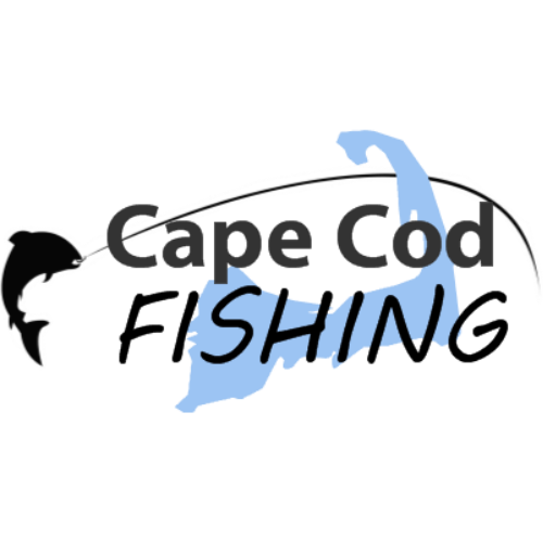 fishingcapecod's profile picture. 