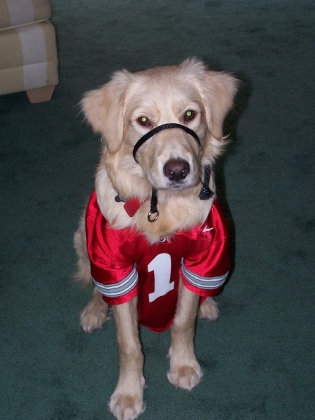 tambourineking's profile picture. The best things in life take hard work and dedication....like the perfect pair of jeans or creme brulee!