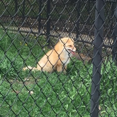 KeepDrivinGem94's profile picture. 