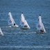 Cape Elizabeth Sailing (@sailingcape) Twitter profile photo Cape Elizabeth Sailing (@sailingcape) Twitter profile photo