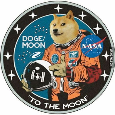 DogeArmyTR1 Profile Picture