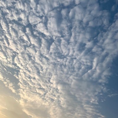 でぃえいちえ 低浮上 Gitknb0g1xtbcrb Twitter でぃえいちえ 低浮上 Gitknb0g1xtbcrb Twitter