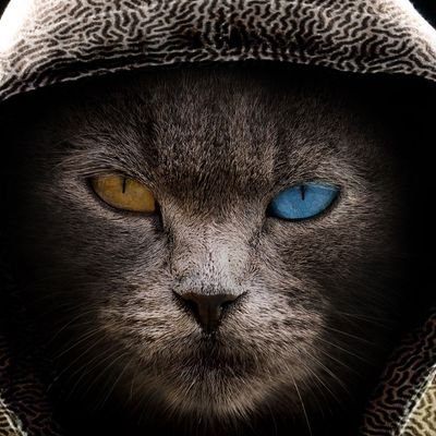 MrSteel_Yoho's profile picture. The Dude/ your Dude-ness/

-Gamer-

Tweets About Gaming & All Things Random.

·TrainToBusan/ Lord Of The Rings 🔥