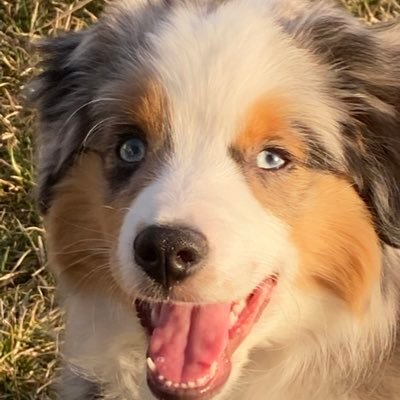 lisasiber's profile picture. $MelisaASieber