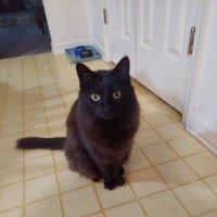 GML (@gml07475723) 's Twitter Profile