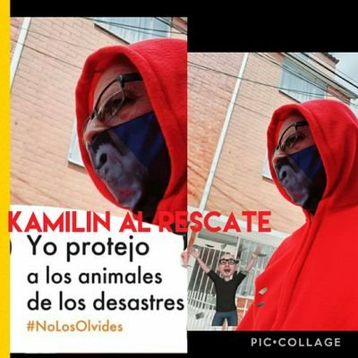 soy kamilin Al Rescate .lucha a diario por ayudar y proteger a los animales en condición de abandono.#nomasabandono
#KAMILINALRESCATE