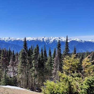 Austinpowers_24's profile picture. 