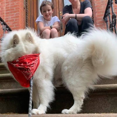 For RETWEET Follow & add @etsyjanetmurray  Samoyed Puppies Here! More Info at https://t.co/afBTPvsY8D  Registered Nurse ~ Frontline! Milk Glass Niche  Vintage Shop