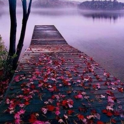 5FkAtutgbWXabwO's profile picture. ‏‏معلمة رياضيات