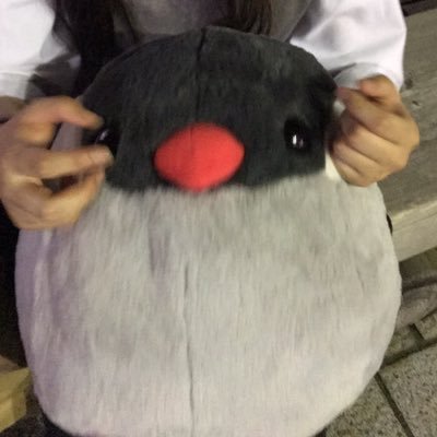 移行しましたさんのプロフィール画像