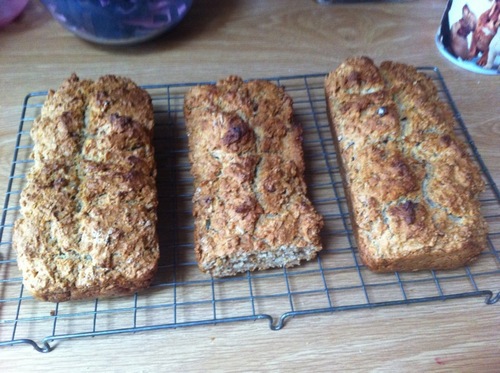 madeinmalahide's profile picture. i am madeinmalahide dublin ireland the world the universe