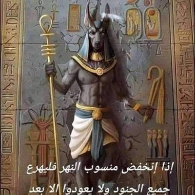 NafeiMohamed's profile picture. 