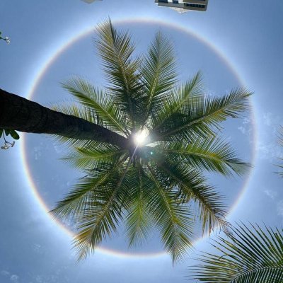 glitchin_matrix's profile picture. 