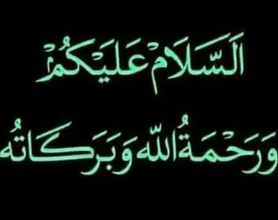 toni44273451's profile picture. apa dkng