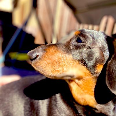 0xNonsense's profile picture. OG degen since ‘17. Mostly here now for passive residual income. Former Royal Marines Commando. Senior developer, learning web3 🤓