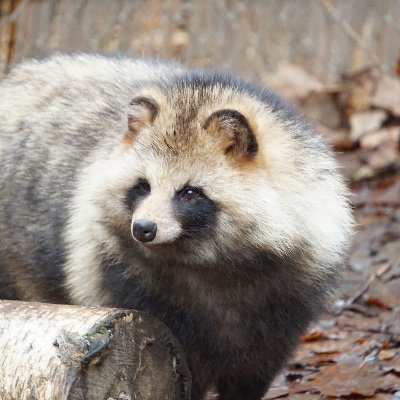 i7xXvZ4VfCu0xxJ's profile picture. 