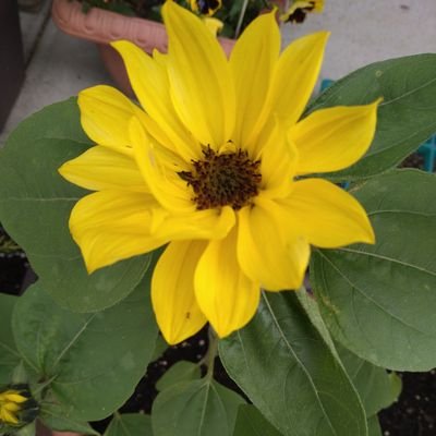 ABfLkVrzpjqdFAl's profile picture. 