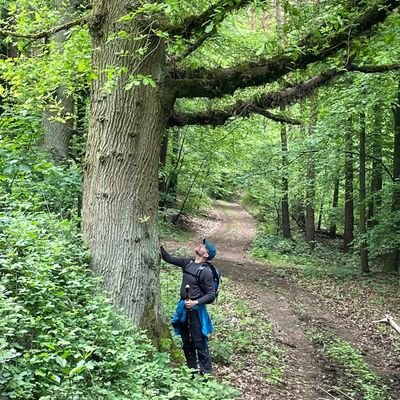 Wandersmann - mag Bäume 🌳
Ein Baum, der fällt, macht mehr Krach als ein Wald, der wächst.
#StopFakeRenewables
https://t.co/hCOHgd81cH