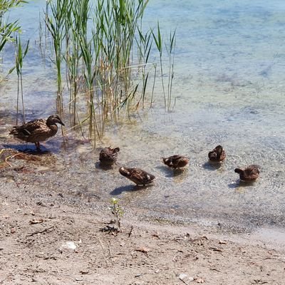 Mama ist wichtig - Papa aber auch 💖 |

Fast entfremdeter Vater einer Tochter, der nie aufgab | Glücklicher Vater eines kleinen Sohnes | Papa von ganzem Herzen