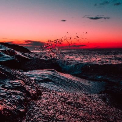 SheaPek1's profile picture. 