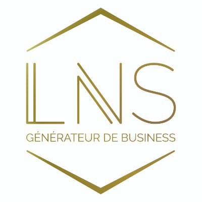 LNS, services d'accompagnements commercial et distributeur de solutions numériques pour booster votre business.