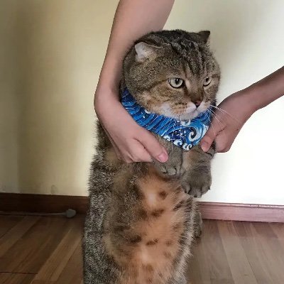 DmqDamaqiao's profile picture.