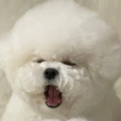 E8Jys's profile picture. 