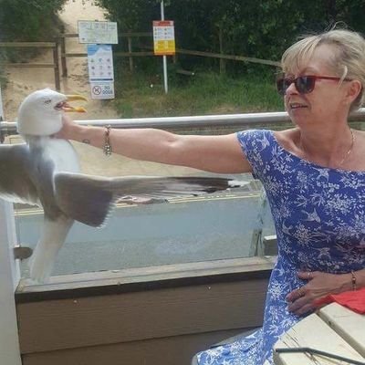 Sam_in_a_b0x's profile picture. he /  they

many  fandoms
Sushi supremacy✨✨
🇪🇸🇬🇧