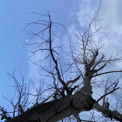 bigtango28's profile picture. Just having fun on Twitter. Looking for different kind of people around the world.