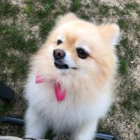 mert can (@mrt35izmr) 's Twitter Profile