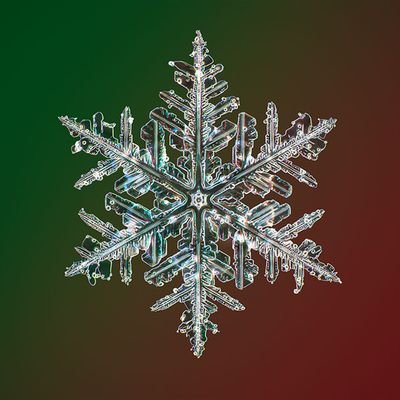 MustUfrankly's profile picture. Is there such a thing as a perfect snowflake? Guess not!
