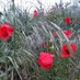 Montseny (@montseny18) Twitter profile photo Montseny (@montseny18) Twitter profile photo