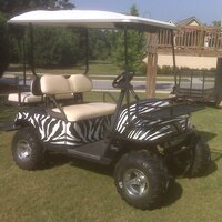 All Pro Golf Carts (@allprocarts) 's Twitter Profile
