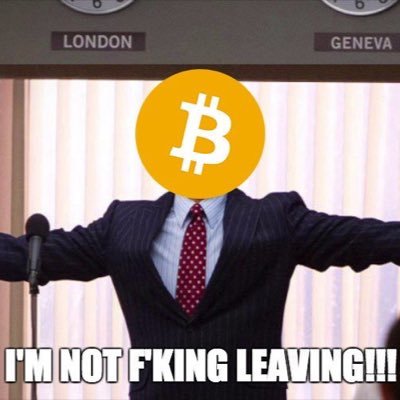 Bitcoin and Blockchain Technologies grew instantly in my life since late 2009. Each passing day that same passion gets stronger. I love my family and dogs!