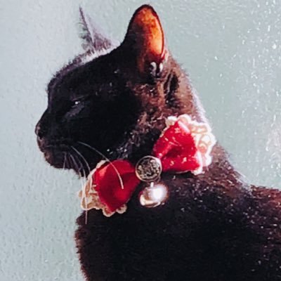 yyi_ppi's profile picture. キャンドル作家、カラーセラピストのらんです🌸気の向くままにキャンドルを制作🕯楽しみ、ワクワクする事が好き🥰🕯*ﾟ🧡𓈒 𓂂𓏸BASEには不定期で販売しています🐱