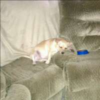 ivb1289's profile picture. 