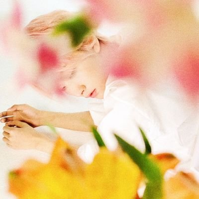l2ainbow🌈さんのプロフィール画像