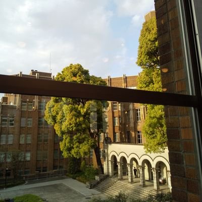 laporcelaine's profile picture. @東京