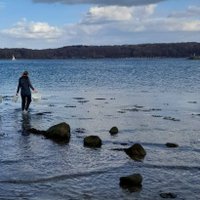 Nora (@microbe_space) 's Twitter Profile