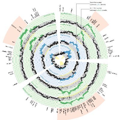 Bioinformatics group leader at the Roslin Institute, University of Edinburgh