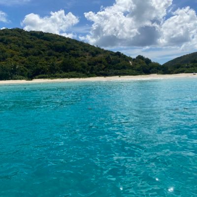 sallimonychiile's profile picture. Speak your truth and stand up for the things you believe in!