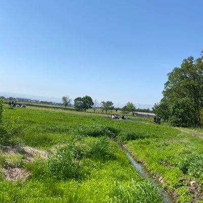 GIS4IgmcDw7eh5e's profile picture. ごのうさんねん