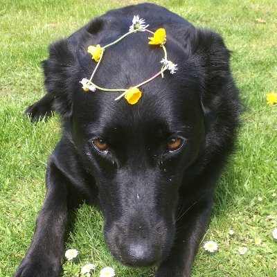 saltedgarden's profile picture. Its me, hello :D