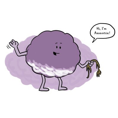 AIRN2K's profile picture. Research by @UCDBioFoodEng @ucddublin & @UWEBristol on impact of #ammonia funded by @EPAResearchNews
https://t.co/Gi8ZhXnBW1