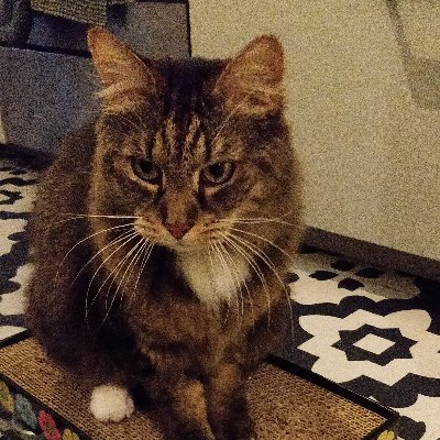 _CHILDCARE_'s profile picture. 